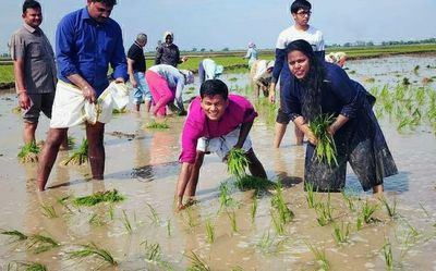 Bapatla, Prakasam Collectors surprise farm workers, try their hand at transplanting of paddy