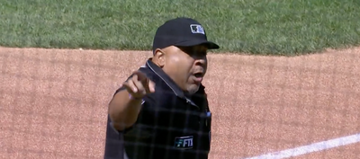 Umpire Adrian Johnson actually ejected Robbie Ray and Luke Weaver over pregame standoff