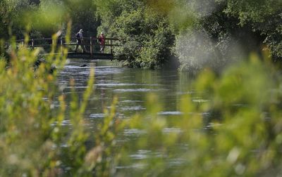 Labour to commit to tougher rules and enforcement on water companies