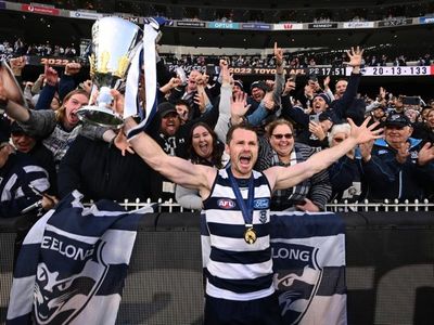 Dangerfield named AFL player of the finals