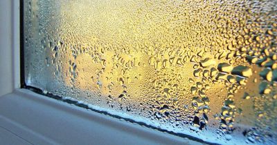 Mrs Hinch fans share £1 hack to rid windows of condensation this winter