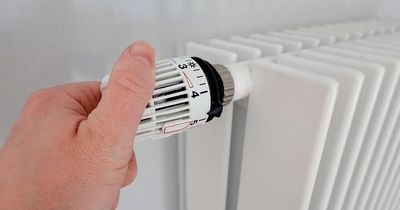 Plumbing expert's warning about drying clothes on radiator during winter months