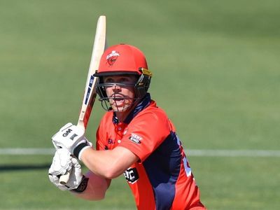 Redbacks tail slows Bulls' charge in Cup