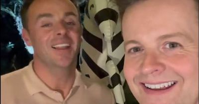 I'm A Celebrity's Dec Donnelly gets birthday surprise on set after South Africa series confirmed