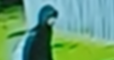 Police release image of masked man after 15-year-old girl sexually assaulted on her way to school