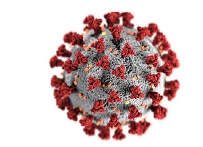 Health: Research finds that viruses may have 'eyes and ears' on us