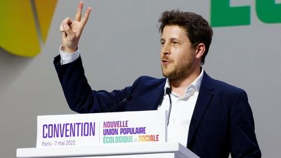 France's green party leader resigns over accusations of domestic abuse