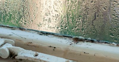 The £1 hack that can get rid of condensation on your windows
