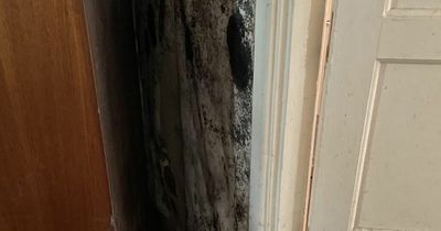 Asthma suffer 'violently sick' due to black mould on walls of her council flat