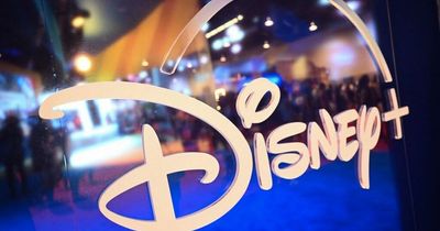 New Disney Plus 'membership package' could offer deals on toys, theme parks and holidays