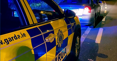 Learner driver attempts to hide from Gardai after breaking six rules of the road