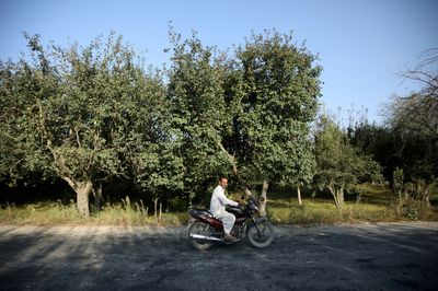 Truckloads of apples are rotting as Kashmir highway is blocked