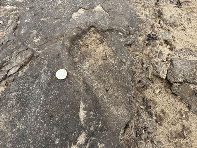 How scientists are taking ‘snapshots’ of prehistoric Britain