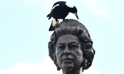 Duck and cover: swooping season is under way and it’s not just magpies