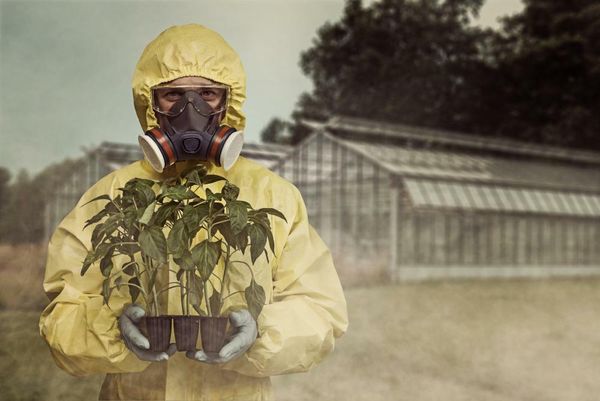 Australian food is grown with dangerous chemicals banned in other countries