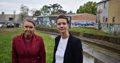 'It has flooded before, it will flood again': Hornery hosts shadow water minister in a bid for action