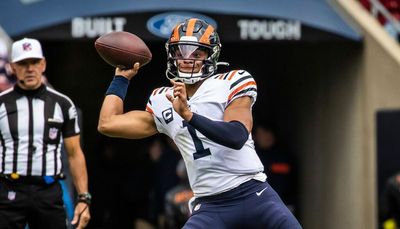 Note to Bears: We need some more throw days this winter