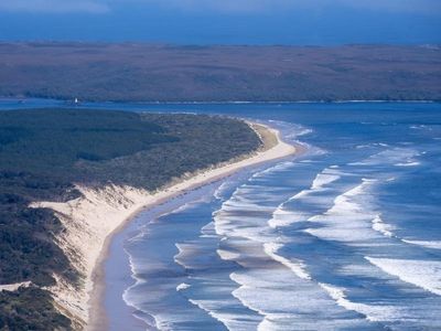 Surviving Tasmania whales back in the swim