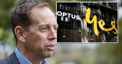 Calls for ACT to allow Canberrans to change driver's licences after Optus breach