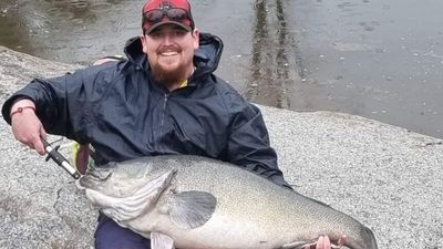 Recreational fishers enjoy the 'catch of their lives' with Leslie Dam's thriving Murray cod