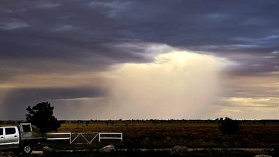 Regional Queensland braces for wet end to September with rain and storms forecast for most parts