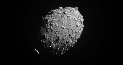 Nasa crashes spacecraft into asteroid in successful test of defence technology