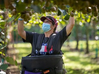 NZ announces Pacific labour safeguards