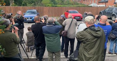 Crowds of twitchers rush to village to see very rare nighthawk