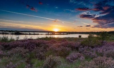 Paths of discovery in South Yorkshire: natural and historical wonders meet on Hatfield Moors