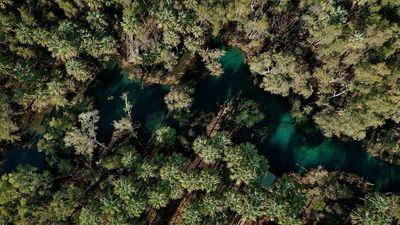 NT Government warned by its own advisor against water allocation changes, impacts on Roper River