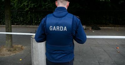 10 men arrested and two in hospital after assault at St Stephen's Green