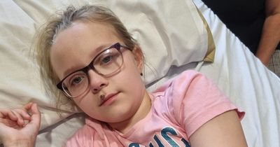 Girl bitten on LIP by false widow spider loses use of legs and mum fears she's paralysed