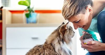 Mum won't stop stealing everyone's baby names and using them for her pets