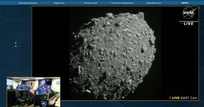 NASA crashes spaceship into asteroid in first ever test to defend Earth