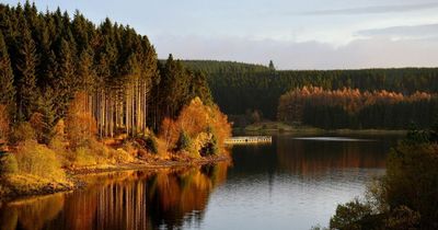 Northumberland beauty spot named one of the best places for leaf-peeping this autumn