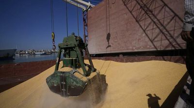 Ukraine Ports Have Shipped around 5.3 Mln T of Food under Grain Deal