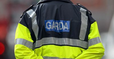 Man threatens shop staff with knife during horror robbery in Dublin as Garda investigation launched