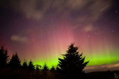 Stunning Northern Lights display captured over Scotland's central belt
