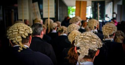 Judges 'wrong' to bail defendants due to barristers' strike, High Court told