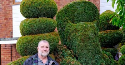 Cheeky gardener trimmed hedge into extremely rude shape but now wants to burn it down