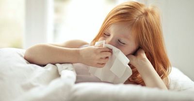 Warning to parents over 'perfect storm' of sickness this winter