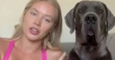 Woman goes viral for training her pet dog to growl at 'creepy men'