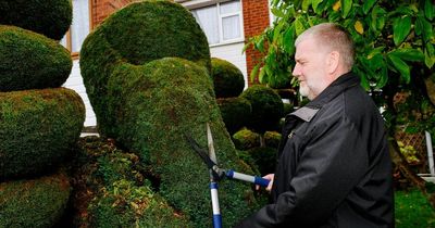 Gardener with 'middle-finger' hedge says he is sick of it and wants to burn it down