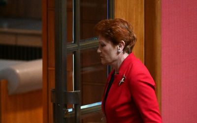 Pauline Hanson referred to human rights body after she doubles down on racist abuse