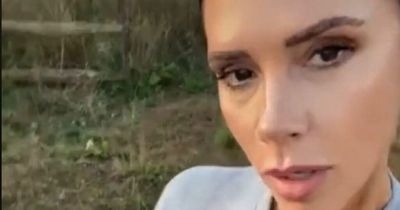 Victoria Beckham hailed 'hilariously funny' as she cheekily jokes about husband David's 'sticky stuff' as she shares his unusual hobby