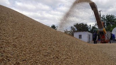 Russia is expecting bumper grain harvest, says Putin