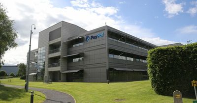 Irish arm of PayPal recorded over €54m profit in 2021 but still cut over 300 jobs