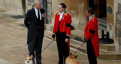 King Charles to relegate frozen-out Prince Andrew to ‘dogwalker-in-chief’, expert claims