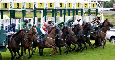 Newsboy's horse racing tips for Wednesday's five meetings, including Catterick nap