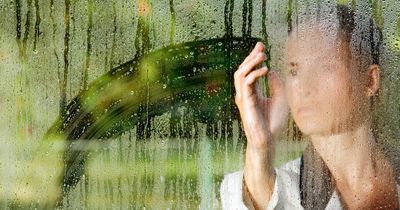 Mrs Hinch fans share £1 method to banish condensation from windows